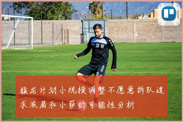 猛龙计划小规模调整不愿意拆队追求浓眉和小萨的可能性分析