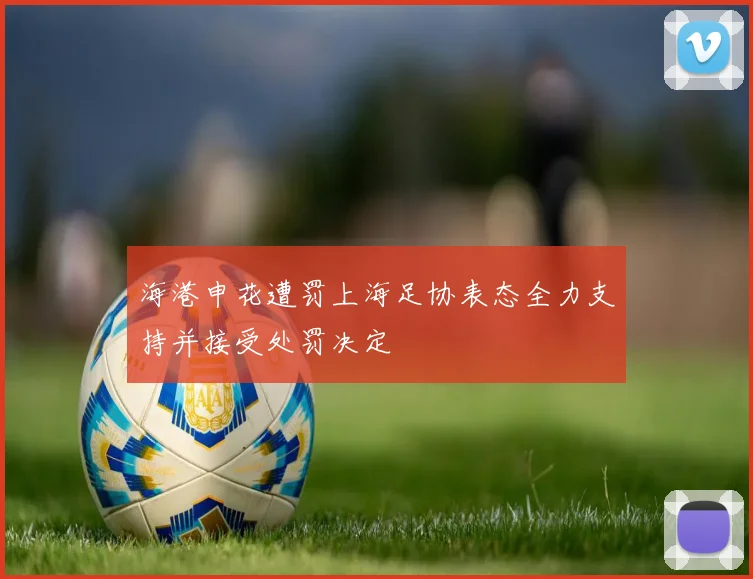 海港申花遭罚上海足协表态全力支持并接受处罚决定