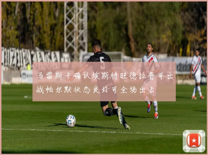 马雷斯卡确认埃斯特旺德拉普可出战帕尔默状态良好可全场出击